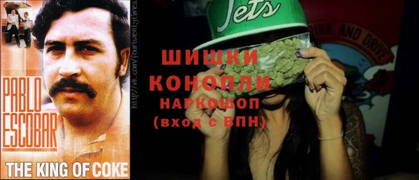 крисы Богданович