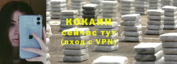 mdpv Богородск