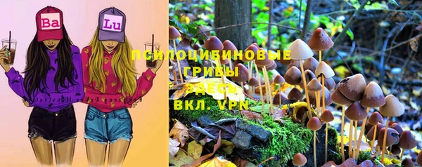 крисы Богданович