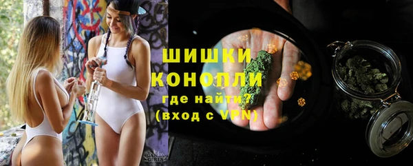 крисы Богданович